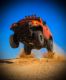 Picture for category TOYOTA FJ CRUISER
